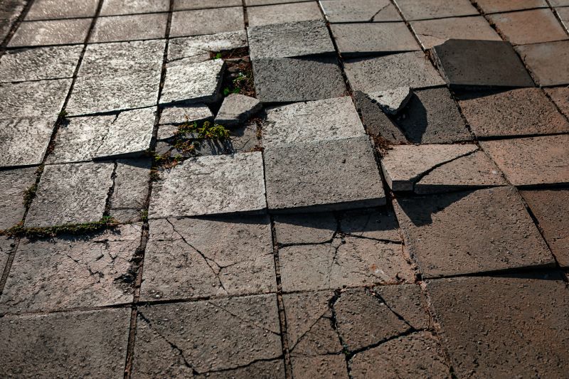 Paver Repair Specialists